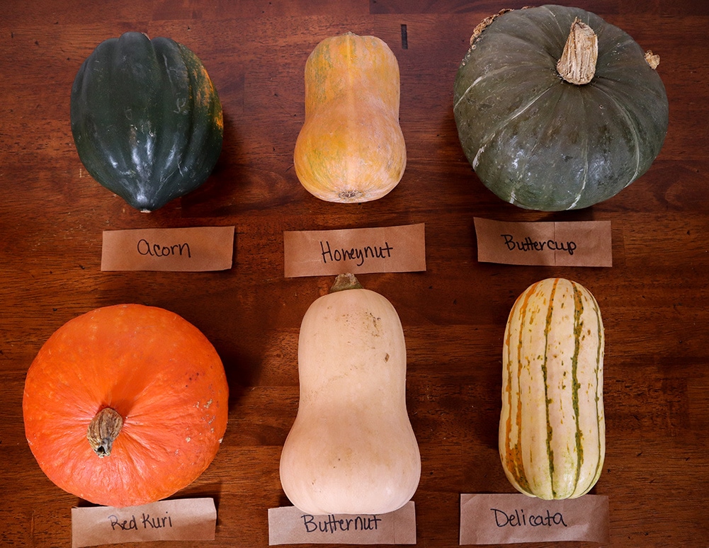 Winter Squash Guide & Taste Test Cook with